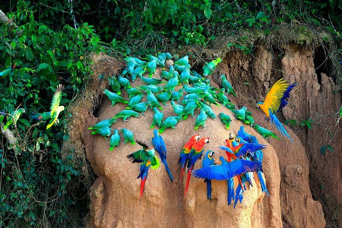 Manu Reserve Zone Tour + Jaguar and Macaw Clay Lick 7days - Inclusions and Exclusions