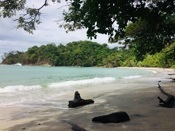Manuel Antonio National Park Nature Walk - Relaxed Walk or Intense Hike