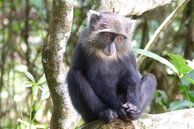 Manyara and Ngorongoro Crater - Accommodations and Meals