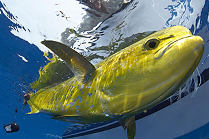 Marathon Offshore Fishing Charter Review - Boat Amenities