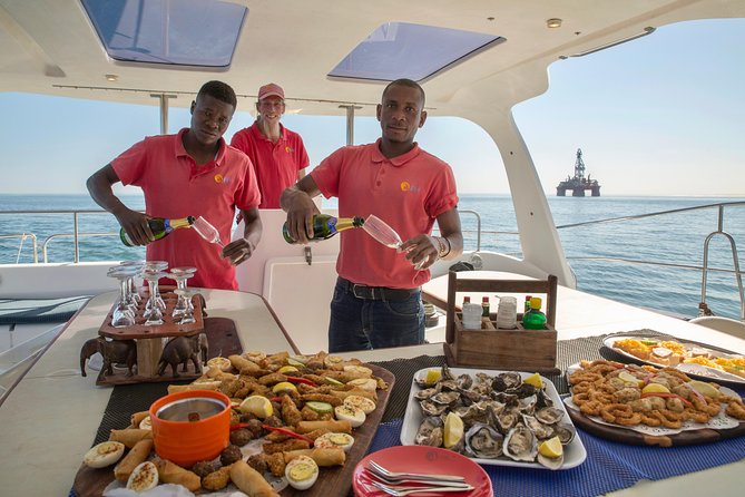 Marine Dolphin Seal Cruise - Catamaran Cruise Experience