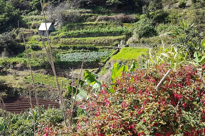 Maroços - Mimosa Valley Walk - Inclusions