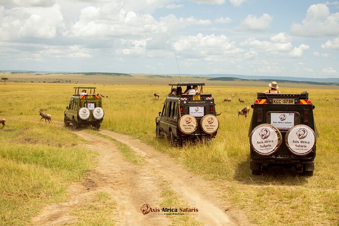 Masai Mara 3 Days Tour Safari Private 4WD Landcruiser - Picnic Lunch With Scenic Views
