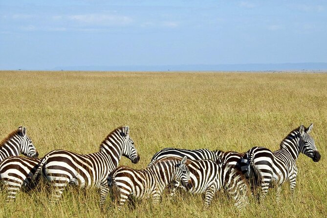 Masai Mara 3Days Safari Adventure - Exploring the Masai Mara