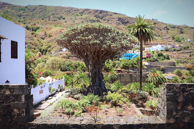 Mask - Garachico - Icod - Teide National Park - Highlights From Featured Reviews