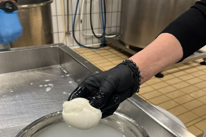 Matera Cheese Making Class - Health and Safety Considerations