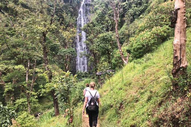 Materuni Waterfalls - Tour Schedule and Accessibility