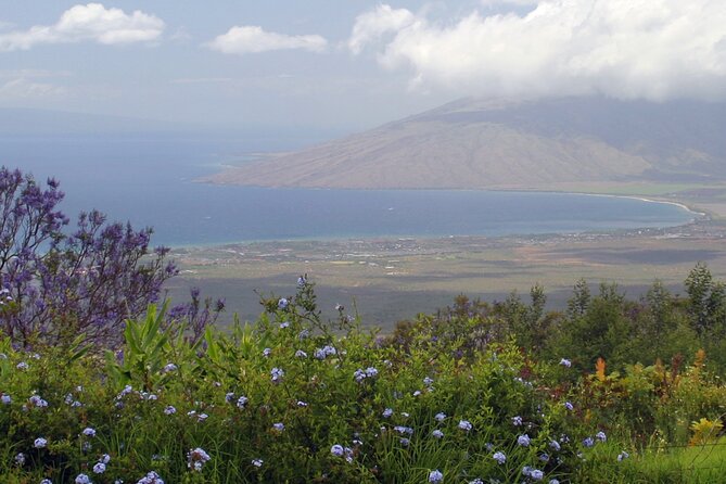 Maui Farm Distillery and Local Craft Experience Full-Day Tour - Pickup and Meeting Points