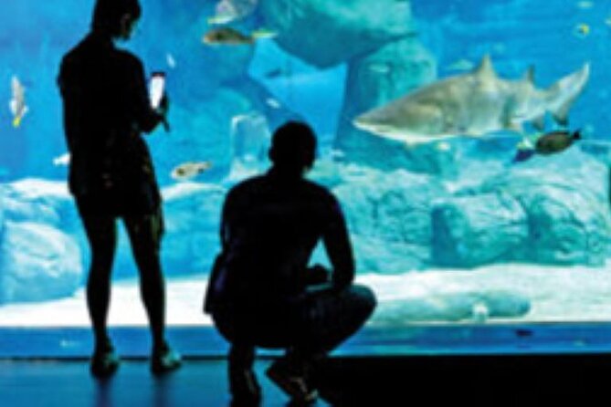 Mauritius Odysseo Oceanarium in Port Louis - Dining Options and Amenities