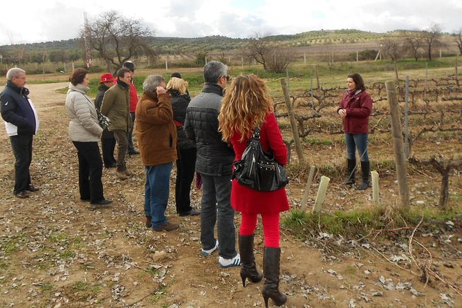Medieval Castles, Wineries Experience With Tasting From Madrid - Sightseeing Activities
