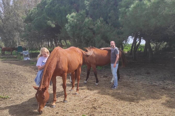 Meditation Activity: Mindfulness With Horses in Zahora - Booking and Cancellation