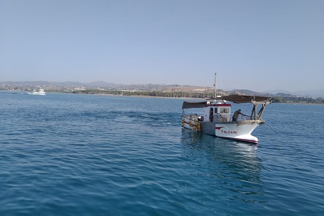Mediterranean Boat Tour With Paella Lunch and Transport Included! - Accessibility and Amenities
