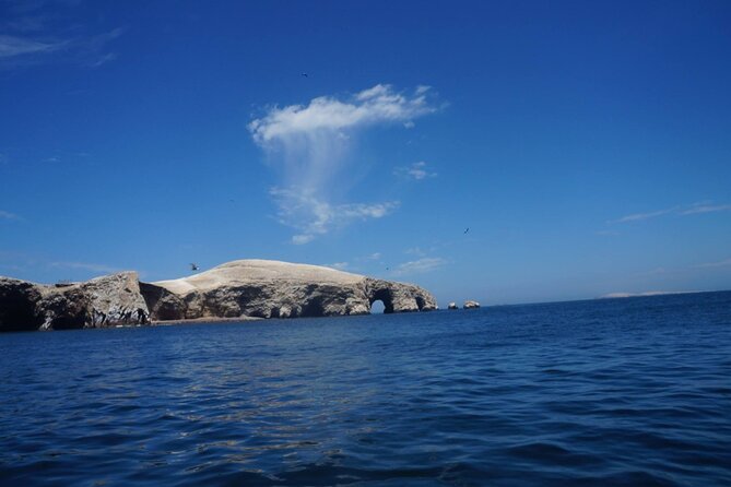 Meet Lima: Squares, Catacombs, Museums, Markets Food. - Navigating Limas Vibrant Marketplaces