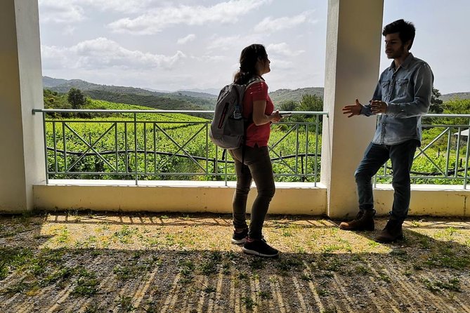 Meet the AUTHENTIC Rhodes Tour - PRIVATE Half or Full Day Tour - Accessibility
