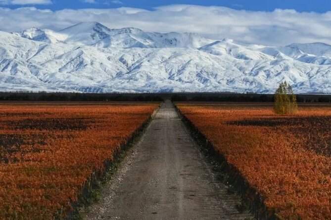 Mendoza Full Day Bodegas. - Cancellation and Flexibility