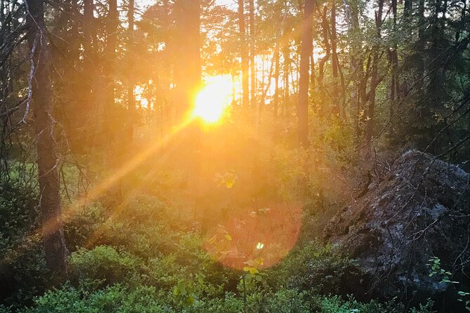 Midnight Sun and Campfire - Forest Evening Hike Outside Stockholm - Activity Suitability and Health Considerations