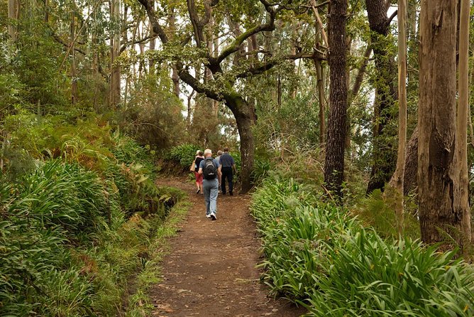 Mini -Combo East Challenge (Jeep Safari & Levada Walk) - Pickup Locations and Times