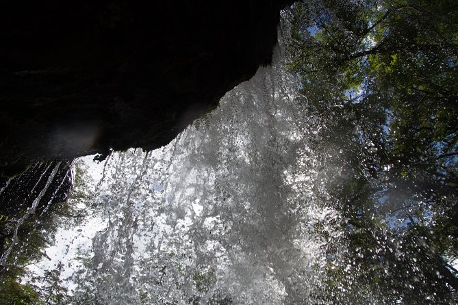 Minitrekking Bridal Veil - Exploring Local Flora and Fauna