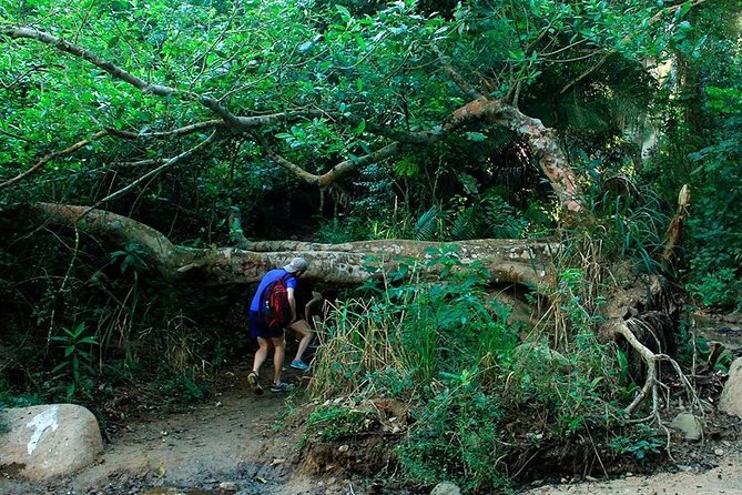 Monkey Mountain Jungle Hike Adventure - Health and Safety Considerations