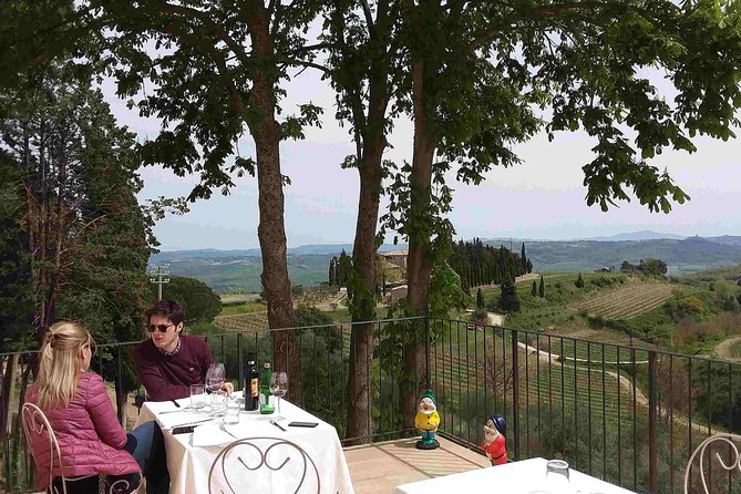 Montalcino Wine Tour Review: A Sipping Adventure - Accessibility and Participation