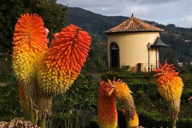 Monte Church Sanctuary and Madeira Botanical Garden Tour - What To Expect