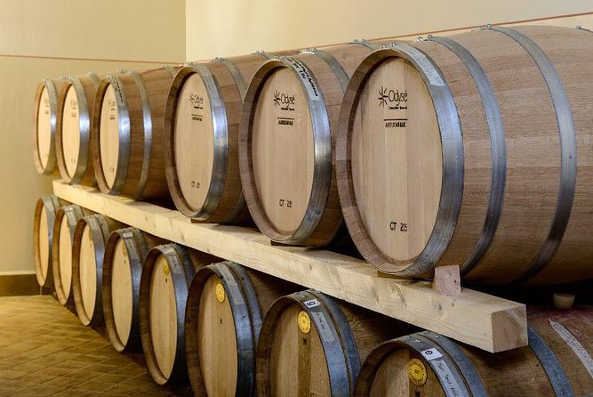 Montefalco: Winery and Oil Mill Tour in With Light Lunch - Umbrian Lunch Menu