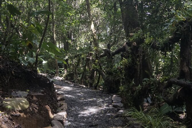 Monteverde Local Experience Guided Tour From Monteverde - Traveler Requirements