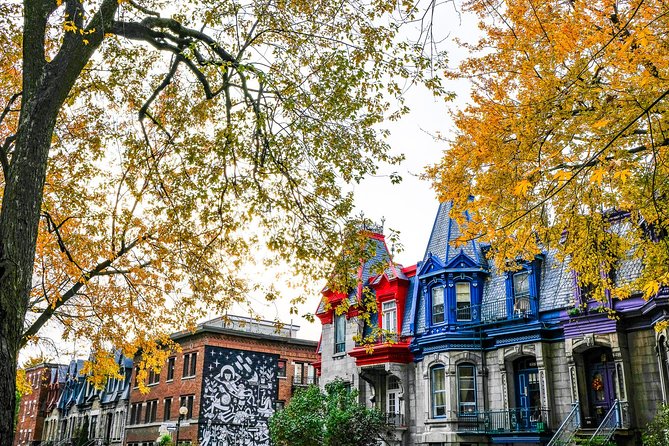 Montreals Plateau Mont-Royal and Mile End Tour by MTL Detours - Tour Highlights