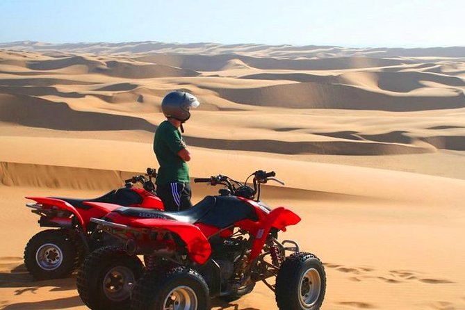 Morning Desert Safari With Quad Biking, Camel Riding and Dune Bashing - Camel Riding Adventure
