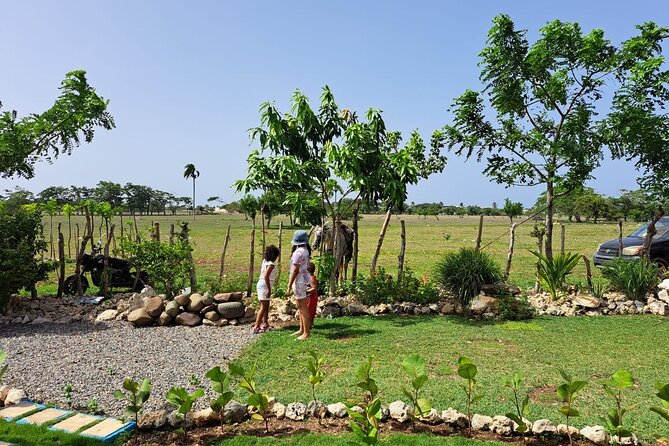 Morning Horseback Riding Tour From Punta Cana - Pickup and Meeting
