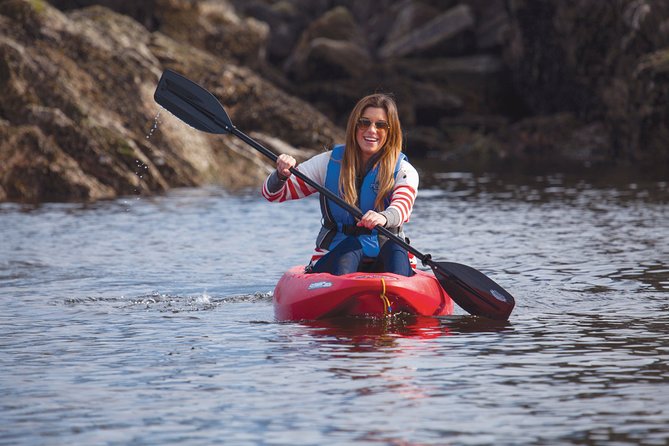 Morning Kayak & Seal Cruise - Accessibility and Participation