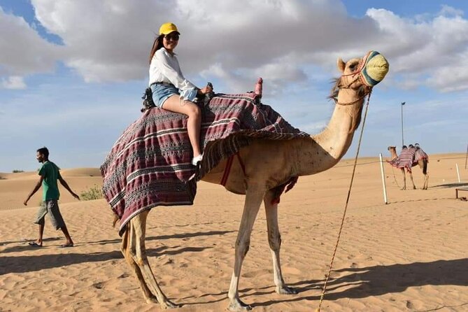 Morning Thrilling Dune Bashing , Send Boarding & Camel Ride - Tour Conditions