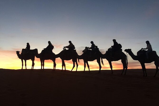 Morocco Camel Treks Experiences 2 Nghits in Erg Chabbi Desert - Customer Reviews