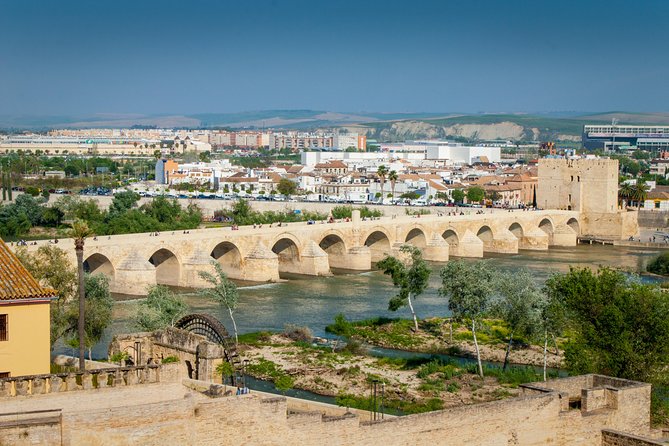 Mosque, Alcazar of the Christian Monarchs and Juderia - Guided Tour Highlights
