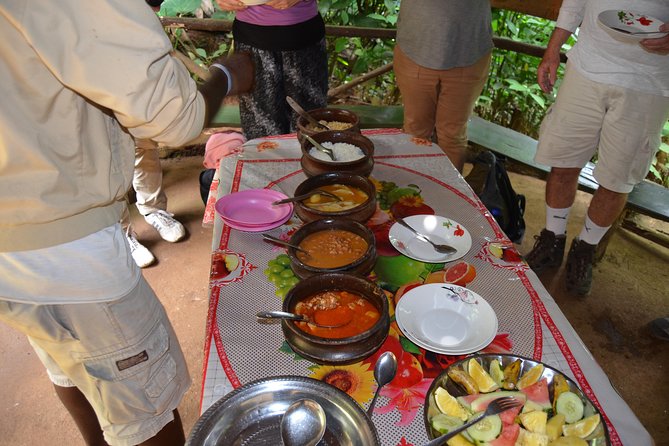 Mount Kilimanjaro Day Trip Trekking - Pickup and Transport Details