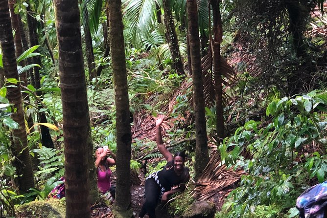 Mount Liamuiga Volcano Tours - Customer Service Response