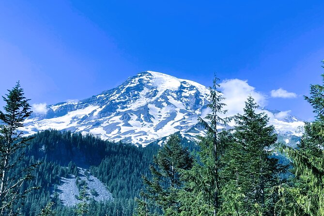 Mount Rainier Customized Tour From Seattle - Tour Participation Guidelines
