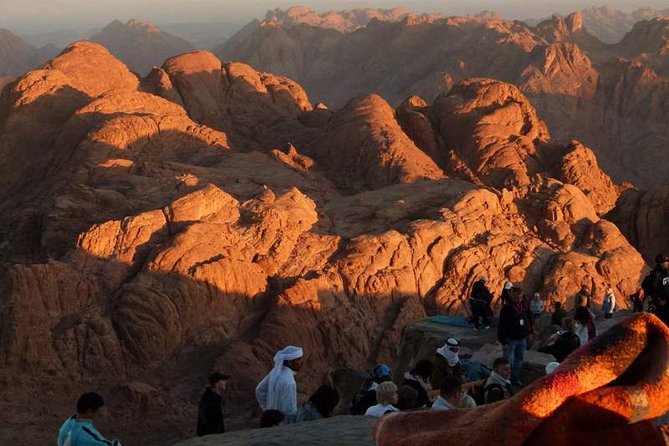 Mount Sinai & St.Catherine Monastery - Traveler Reviews and Experiences