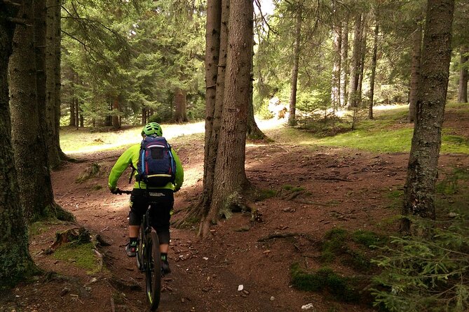 Mountain Bike Day Tour Around Brasov - Exploring Postavaru Mountain