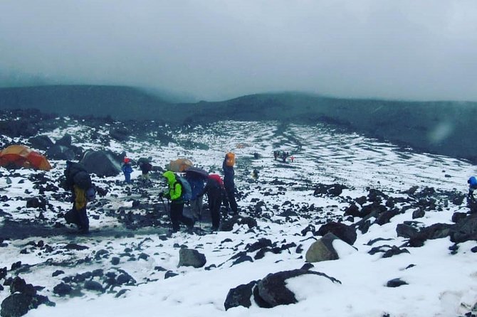 Mt Kilimanjaro 6 Days Marangu Route Hike - Included Amenities and Services