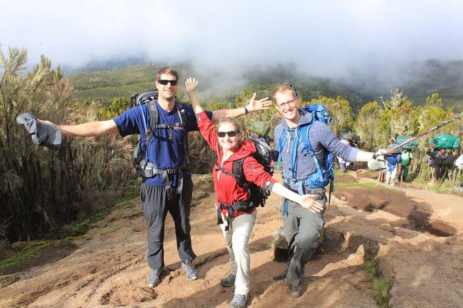 Mt Kilimanjaro Climbing; 6 Days Machame Route - Navigating the Trekking Trails