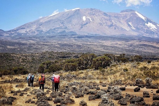 Mt.kilimanjaro Lemosho Route - Gear and Packing Essentials