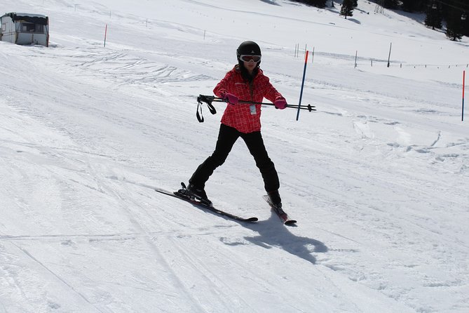 Mt. Titlis First Time Ski Experience From Zurich - Facility and Accessibility