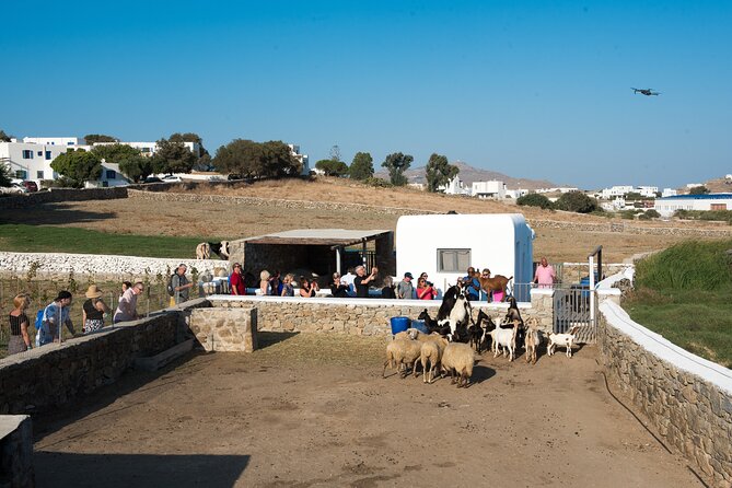 Mykonian Farm Entrance Ticket - Accessibility and Participation