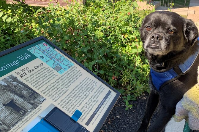 Mysteries on the Move: Scavenger Hunt in Boston - Accessibility and Requirements