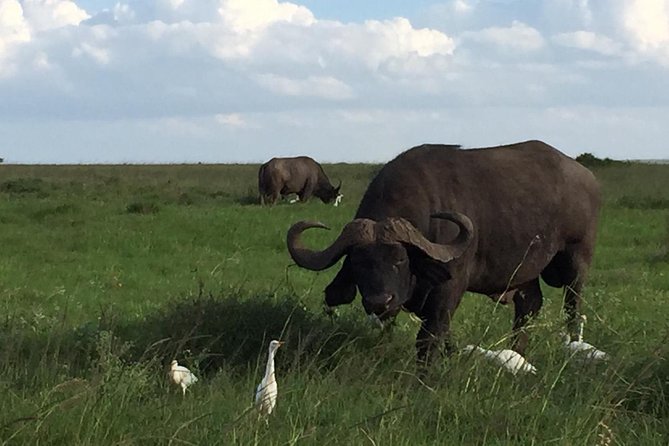 Nairobi Layover - Included Experiences