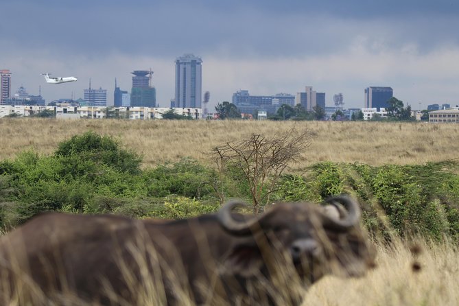 Nairobi National Park Guided Tour - Booking Process
