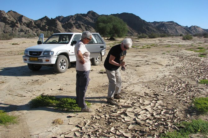 NAMIB DESERT TOURS, Full-Day and Half-Day TOURS From Swakopmund, NAMIBia - Pickup and Meeting Point Details
