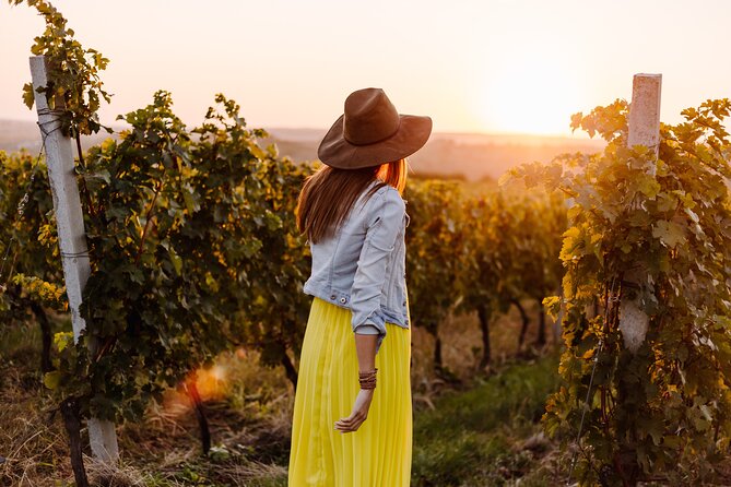Napa or Sonoma Private Wine Tour From San Francisco - Review Highlights