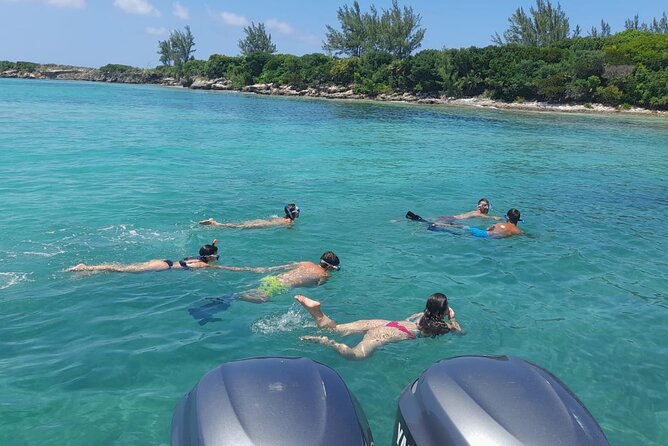 Nassau, Rose Island Private Swimming Pigs, Island Hopping Tour - Swimming With Turtles